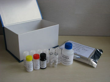 Human matrix metalloproteinase 9(MMP-9) ELISA kit