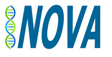 Bovine Interferon γ(IFN-γ) ELISA kit